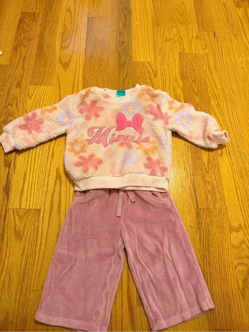 Disney Pink Floral Minnie Fleece Top with Mauve Jogger Pants